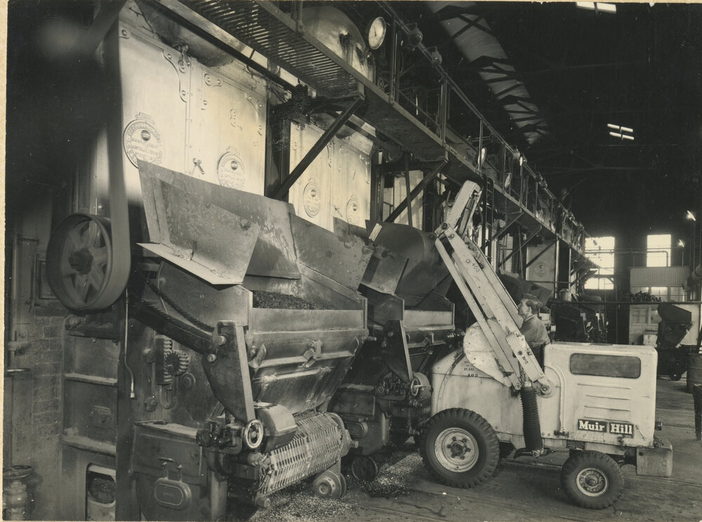 Loading coal into the boiler hoppers at Potts Hill water pumping station