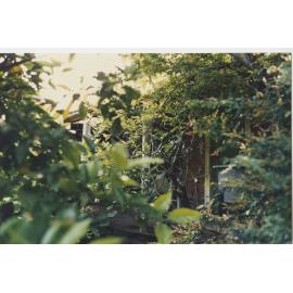 Coo-ee, Terry Road, West Ryde : view of house obscured by vegetation