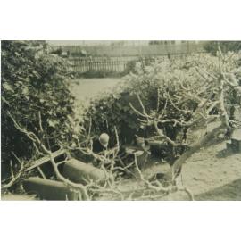 Tom Fitzpatrick in his backyard