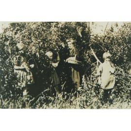 The Ekerick family picking fruit 