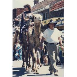 Camels walking in the parade