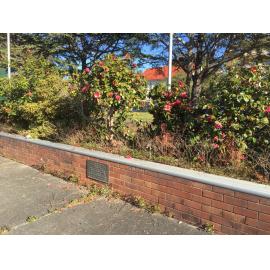 Ryde Bowling Club: plaque for the D M Anderson Green, 1967