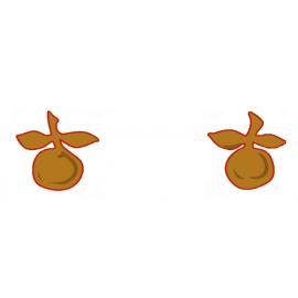 The coat of arms: two apples