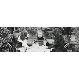 Sarah Kate (Kitty) Barton and the family dogs having afternoon tea at Nyrangie, Linsley Street, Gladesville, around 1900