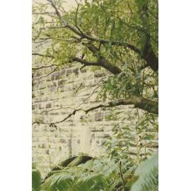 Buffalo Creek Bridge, Cressy Road, Ryde