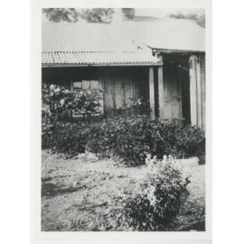 Rosebud Farm, Hicks' family house in Wicks' Road, North Ryde