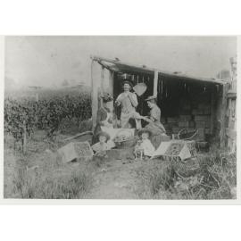 Members of the Jackson family in their vineyard near Victoria Road, Gladesville