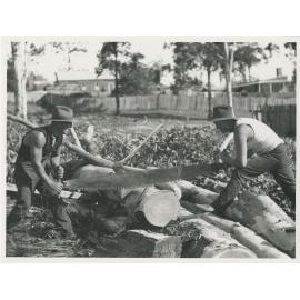 Mr Macintosh clearing timber, Bank Street, Meadowbank around 1920