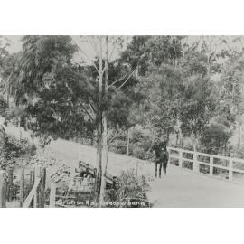 Boy on a horse in Station Road, Meadowbank