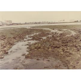 Parramatta River at Meadowbank Park