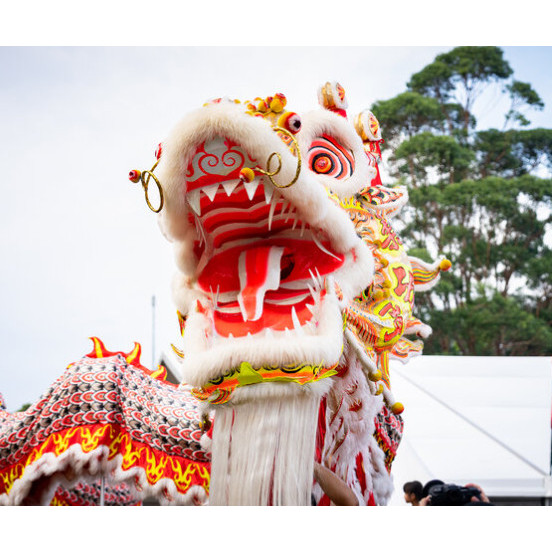 Lunar New Year Festival, 2009-