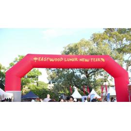 City of Ryde Lunar New Year Festival : post event video