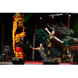 Lunar New Year, evening entertainment, 2024