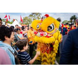 Yellow Chinese lion at the Lunar New Year Festival, 2024