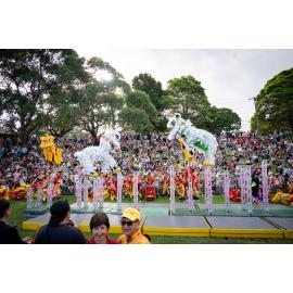 Lion high pole dance, Lunar New Year Festival, 2024