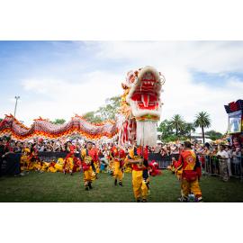Chinese dragon performance, Lunar New Year Festival, 2024