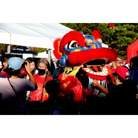Lion dance, Lunar New Year Festival, 2023
