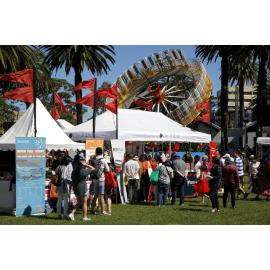 Stalls and rides, Lunar New Year Festival, 2023