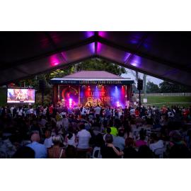 Watching the stage at the Lunar New Year Festival, 2025