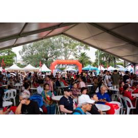 Crowds taking advantage of the shade at the Lunar New Year Festival, 2025