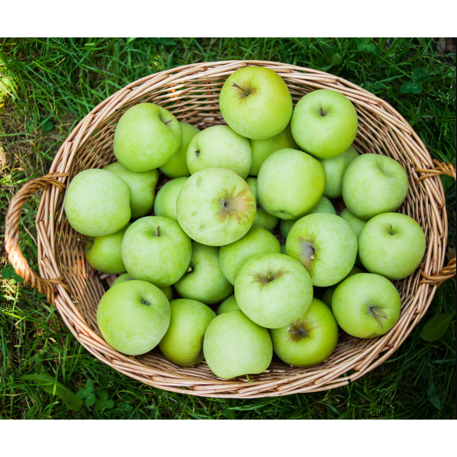 Granny Smith: The Name, The Fruit, The Legacy