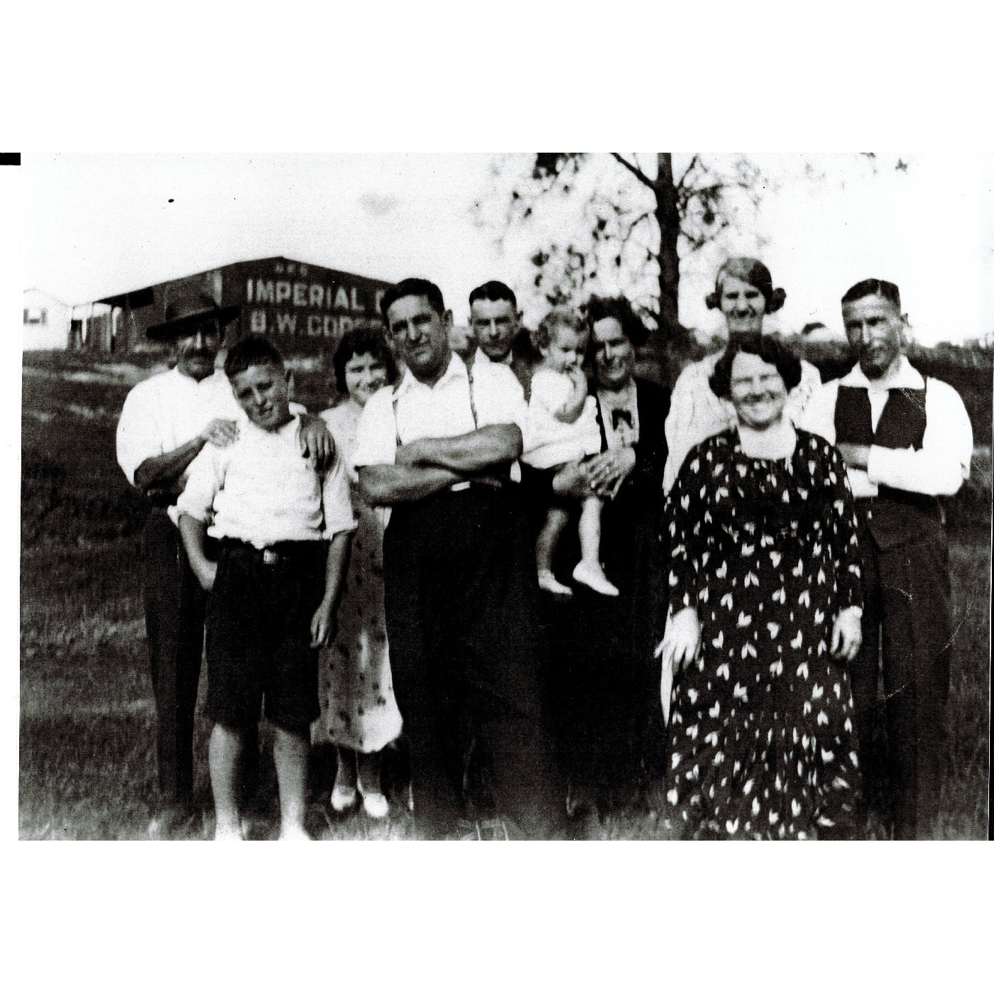 Oral history of Joan Brown