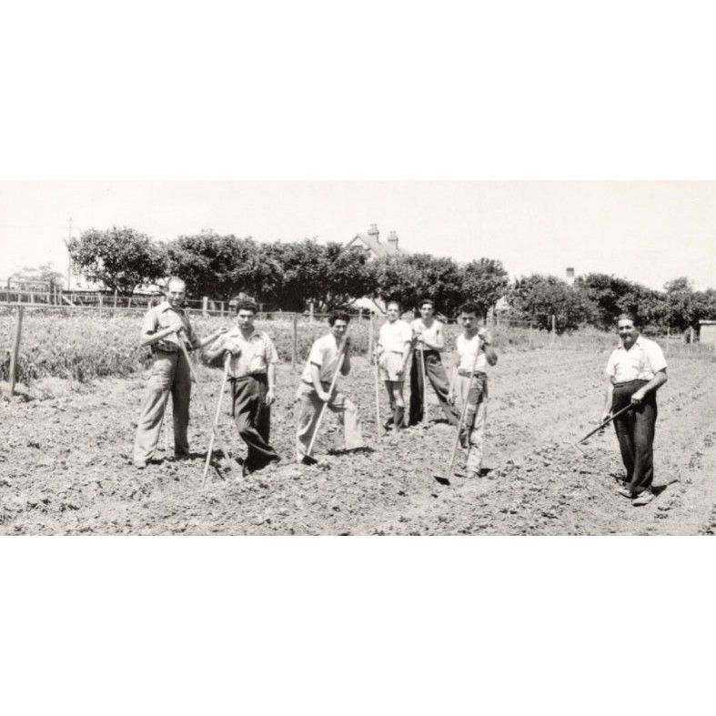 Italian Market Gardeners in the City of Ryde
