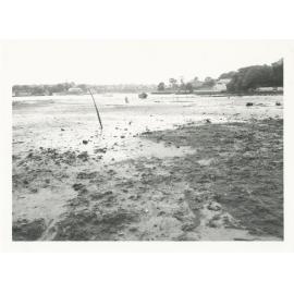 Looking Glass Bay, Parramatta River in 1974