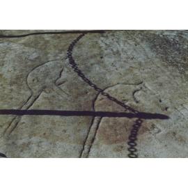 Glades Bay rock engravings, Glades Bay Park