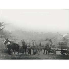 Gladesville Timber Yard horse-drawn timber waggon