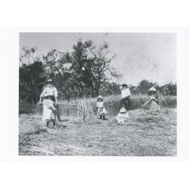 Watson family children helping with the haymaking in Putney, around 1905