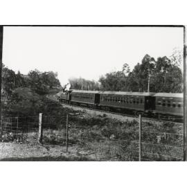 Train between Eastwood and West Ryde, around 1912