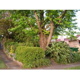 32 Keppel Road, Ryde: front of house