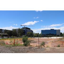 Catherine Hamlin Park at the start of construction, November 2025