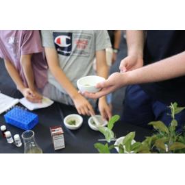 Macquarie University Discovery Tables : Sustainability Families Festival held at Ryde Library