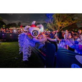 Chinese lion performance interacting with spectators at a Lunar New Year celebration, 2026