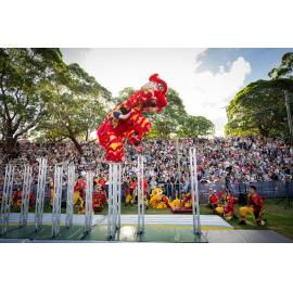 Chinese lion dance performance, Lunar New Year celebration, 2026