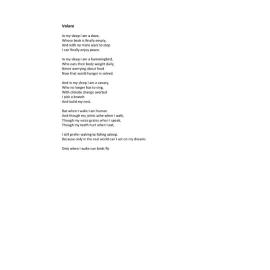 Volare by Aditya Paul: runner-up in the writing category, ages 12-15, Youth Creative Competition 2026