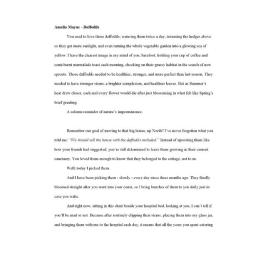 Daffodils by Amelia Mayne: winner in the writing category, ages 16-19, Youth Creative Competition 2023