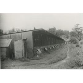 Rearing shed on Dunbar Poultry Stud, Sobraon Road Marsfield